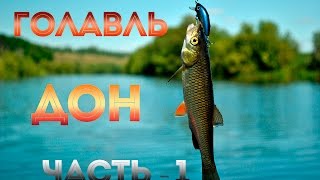 Ловля голавля на Дону
