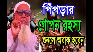 পিঁপড়ার গোপন রহস্য নিয়ে ওয়াজ শুনলে অবাক হবেন || লুৎফর রহমান ওয়াজ ২০২০|| Lutfur Rahman new waz 2020
