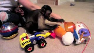 I WRECKED MY CAR!