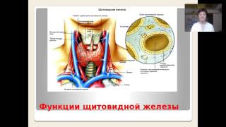 Щитовидная железа - королева молодости и здоровья"