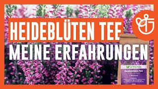 Heideblütentee Erfahrung | Meine Erfahrungen mit dem Heideblütentee