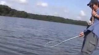 Fly Fishing for Tarpon in Carambola, Venezuela