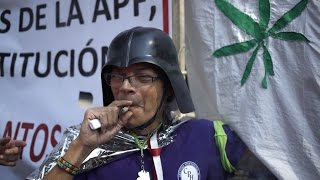 Reacciones por la legalización de la marihuana en México