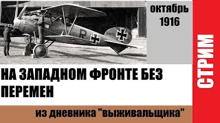 Rise of Flight, simulation mode. Жакуй на Западном фронте.