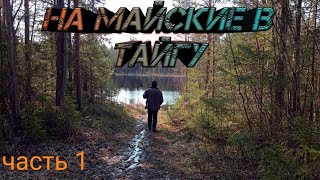 На Майские в тайгу!(приезд,заброска,сплав,охота,изба)Архангельская тайга часть 1