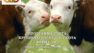 Программа Ферма 1Ф+ Учет крупного рогатого скота