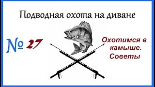Подводная охота в камыше. Полезные советы новичку