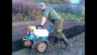 Мотоблок "Нева" вспашка земли плугом