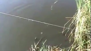 Супер рыбалка на резинку!