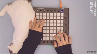 Best Songs Tik Tok - Launchpad Cover/Remix #2 [Tik Tok China]