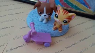 Тигровая стоячка #1451, боксёр #25 и самокат