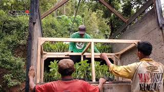 Perjuangan petani porang dan supir truk//proses pengiriman porang #cctvmadiun