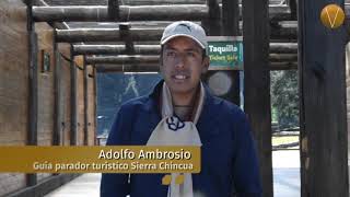El espectáculo de la Monarca en Sierra Chincua. Clorofila