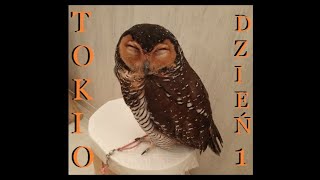 Podróż do Japonii, Tokio dzień 1, Ogrody Cesarskie, Sowia kawiarnia, Gorące źródła