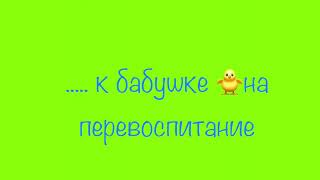 Соблюдай правила дорожного движения !#бездтп
