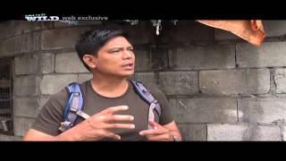 Born to be Wild Animal Rescue: Doc Nielsen treats captive Philippine macaque