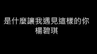 楊碧琪《是什麼讓我遇見這樣的你》歌詞版LIVE
