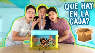 ¿QUE HAY EN LA CAJA? (ft. Fede y Mathi) |DosogasTeam Kids
