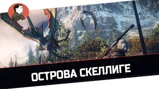 The Witcher 3: Wild Hunt | Острова Скеллиге - 10 Серия