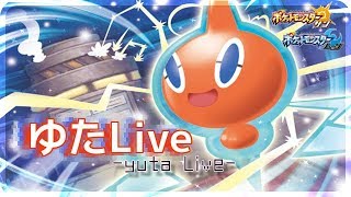 【深夜の交換会】レベルボールわんぱくウリムー【ポケモンウルトラサンムーン】