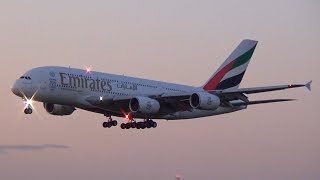 Evening spotting at Hamburg Airport