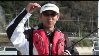 アオリイカ 釣り エギングフィッシング シャクリの基本