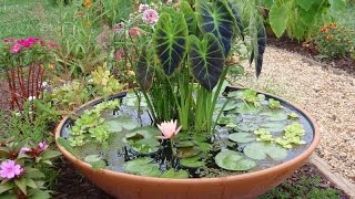 Как украсить сад водным декором