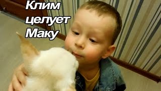VLOG:  Новые умения / Клим кушает лимон / Составляем меню в ресторане