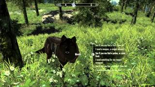 Skyrims Must Have Mods: Week 43: Pirate and Dogs