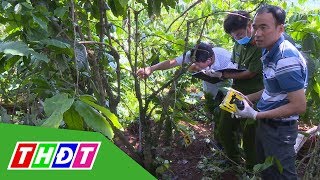 Bắt nghi phạm sát hại 3 bà cháu ở Lâm Đồng | THDT