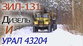 ЗИЛ 131 дизель и УРАЛ 43204 лесовоз