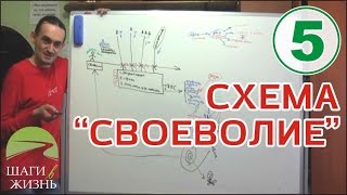 Илья Т. - Занятие 5 - Схема "Своеволие" и другое..