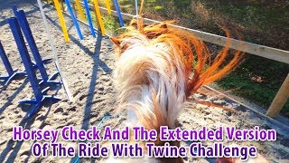 Horsey Check And The Extended Version Of The Ride With Twine Challenge #ridewithtwinechallenge
