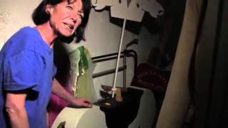 The Sarnos -- a Life in Dirty Movies