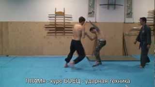 ПЛАМя - рукопашный бой - удар ладонью
