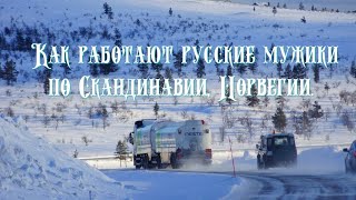Работа по Скандинавии. Как работают русские по Норвегии.