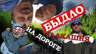 ТОП 5?БЫДЛО НА ДОРОГЕ №2? Жёсткие разборки. Алкаши.