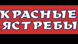 Red Hawks Красные Ястребы Семейный Хоккейный Клуб Семь Футов