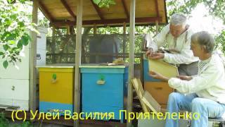 Уникальные Эффективные Ульи На Пасеке Василия Приятеленко, Kiev, Ukraine