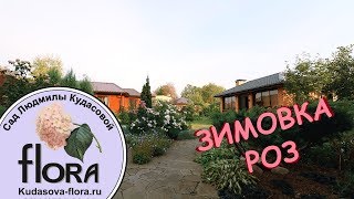 Зимовка Роз - Сад Людмилы Кудасовой