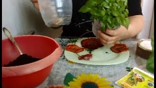 Посадка семян перцев на рассаду! Эффективно и просто!