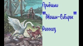 Приёмыш "Мамин-Сибиряк" Рассказ о дружбе Животных