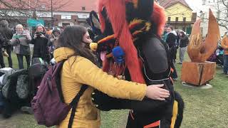 Masopust Fursuit outing 2019
