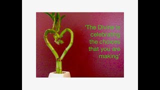 Twin Flame Divine Feminine Reading- 'The Divine is celebrating the choices you are making'