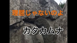 【カタカムナ】第五首、第六首の意味
