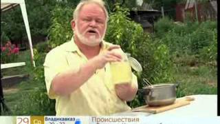 Лущик М. Н. Перхоть. Рекомендации по лечению народными средствами