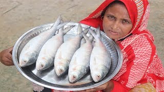 Village Food Ilish Macher Jhol Recipe Tasty & Spicy Cooking Traditional Bengali Hilsa Fish Curry