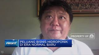 Bisnis Hidroponik Raih Kenaikan Penjualan 2 Kali Lipat Saat PSBB