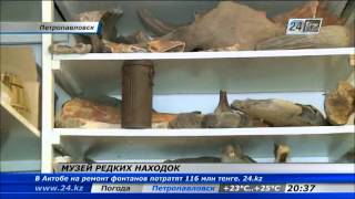 Историко-краеведческий музей СКО хранит уникальные археологические коллекции