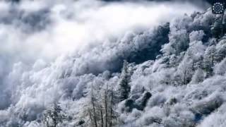 Необычное поведение вулкана Йеллоустоун  Что ждет Мир  1